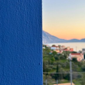 Assos BLUE house